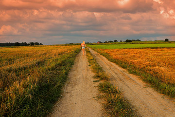 Obraz premium Atardecer en campos de maíz con chica de espalda
