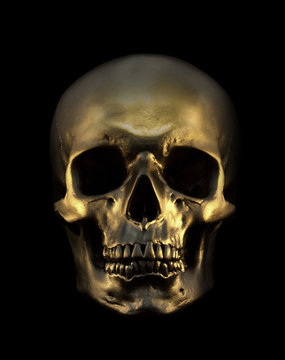 Gold Skull Isolated