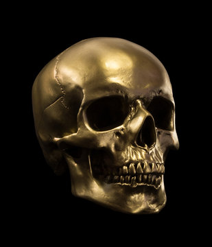 Gold Skull Isolated