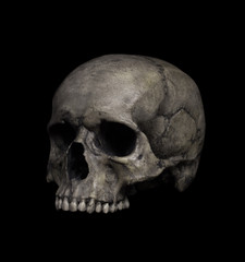 Human Skull Isolated on black