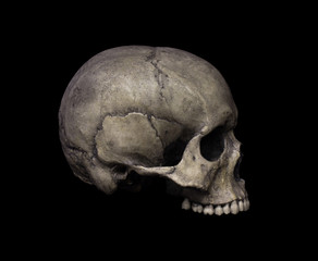 Human Skull Isolated on black