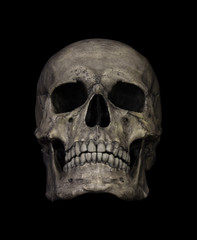 Human Skull Isolated on black