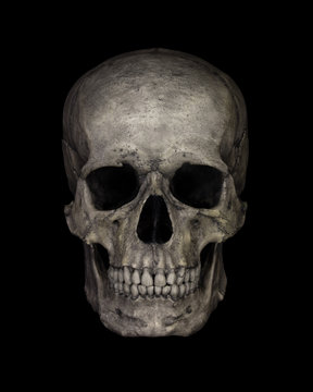 Human Skull Isolated on black