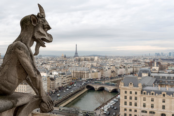 Fototapeta premium views of Paris from the Notre Dame