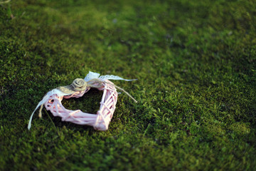 gift box with ribbon and bow on grass