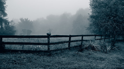 mysterious fog in the meadow and a fence near the forest.  Web banner.