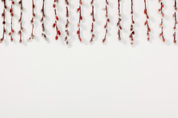 Beautiful flowers composition. Spring background. Branches of willows on white background. Valentines Day, Easter, Happy Women's Day, Mother's day. Flat lay, top view