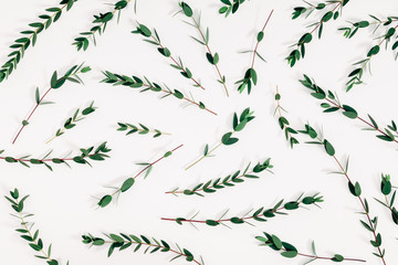 Modern composition of eucalyptus. Pattern made of eucalyptus branches and leaves on white background. Flat lay, top view, copy space