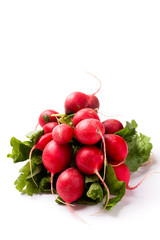 Bunch of Radishes Isolated on White Background