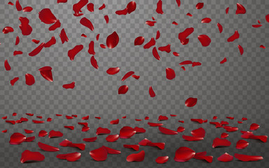 Falling red rose petals seasonal confetti, blossom elements flying isolated. Abstract floral background with beauty roses petal. design for greeting cards on March 8, Women Day, Valentine's Day.