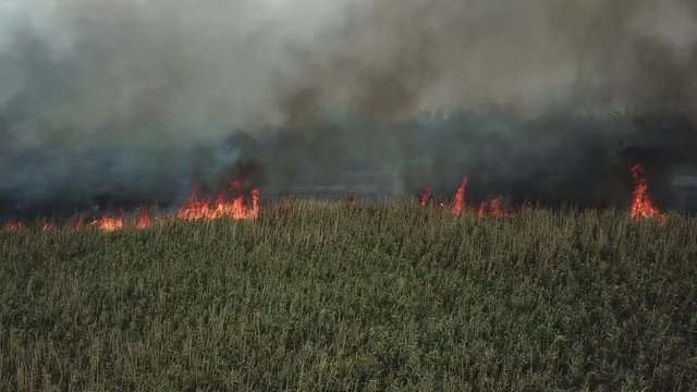 Fire in the field, span along the line of fire
