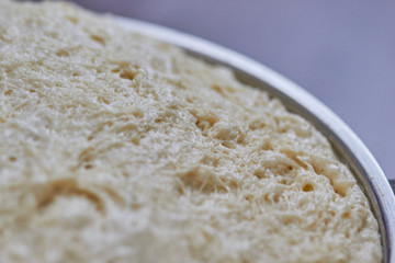 Yeast dough for Easter baking ready for use