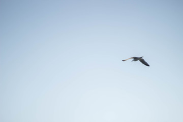 Fotografías en el puerto de valencia y en la playa de la Malvarrosa en el atardecer