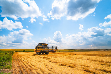 Naklejka premium Grain harvesting equipment in the field. Agricultural sector