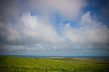 Obraz premium paysage des deux caps dans le Nord: champs, collines et mer