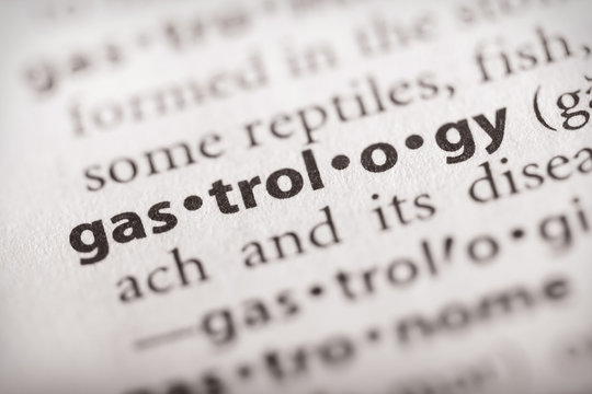 Dictionary Series - Gastrology