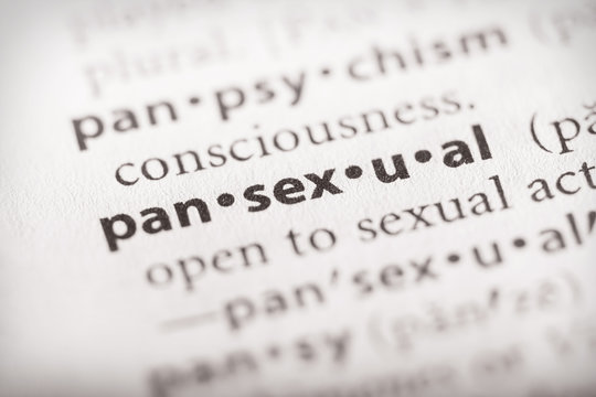 Dictionary Series - Pansexual