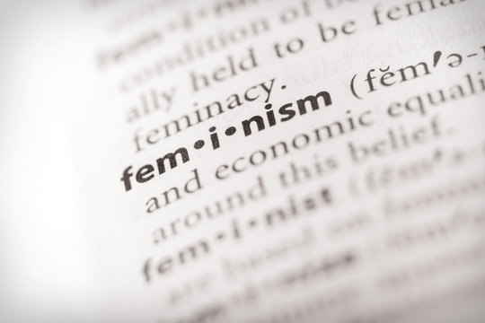 Dictionary Series - Feminism