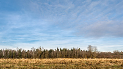 Fototapeta na wymiar blue cloudy sky with clouds, an autumn forest without foliage is located on the horizon, a field with dry grass. Autumn landscape