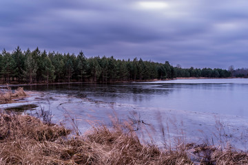 Forest lake with a shallow ice patch. Spruce grows on the shore and there is dry grass. Night scene of autumn landscape