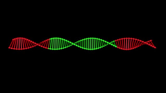 DNA editing , repair, engineering. Insertion of individual segments , editing , rewriting dna. 3d animation rendering . CRISPR biotechnology theme . Isolated with black and white alpha matte