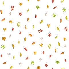 Autumn leaves seamless vector pattern. Cartoon illustration of various veined fall leaves isolated on white background. Autumn textile, wrapping for september or november.