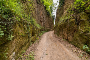 Obraz premium Via Cave natural caves country roads near Sovana Sorano Pitigliano in Tuscany Italy with green nature and rocks