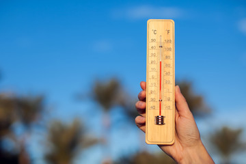 Thermometer in hand in front of palm trees and sky background. Weather forecast concept