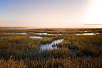 Foto op Plexiglas Saltmarsh on the Virginia coast in USA in the golden sun at sunset.  Known as a coastal salt marsh or tidal marsh it is located between land and brackish water that is regularly flooded by the tides. © Michael