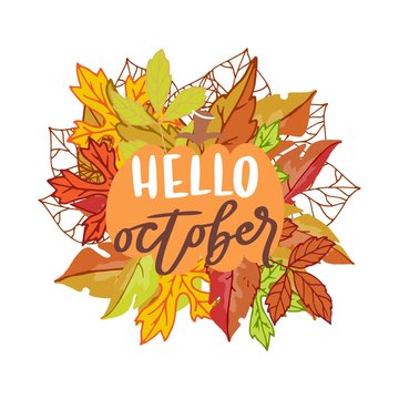 Hello october banner with bright autumn birch, elm, oak, rowan and maple leaves with lettering vector illustration. Autumn cartoon colorful leaves poster.