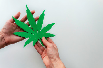  Hands holding a green leaf of hemp. Medical hemp products isolated on white. CBD Medical marijuana concept.