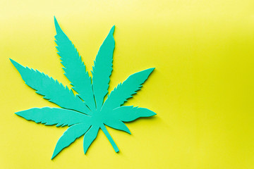 Green leaf of cannabis. Cannabis medical products isolated on white. CBD. Medical marijuana concept.