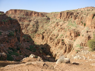 canyon in the desert