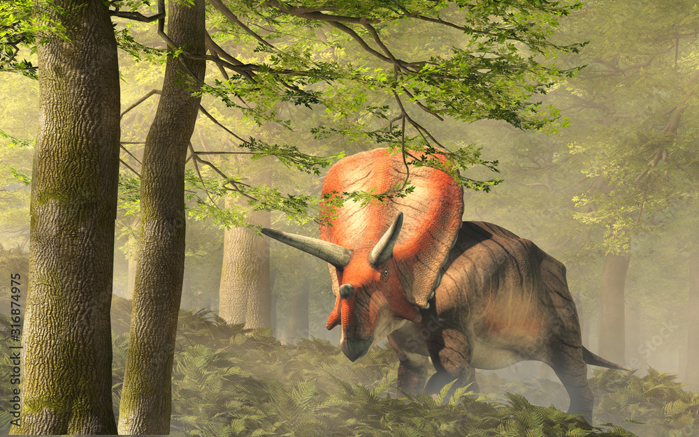 Poster torosaurus was ceratopsian dinosaur that was a frilled and horned, four legged animal. it lived duri