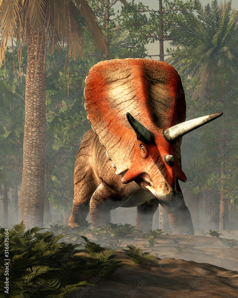 Poster torosaurus was ceratopsian dinosaur that was a frilled and horned, four legged animal. it lived duri