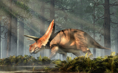 Torosaurus was ceratopsian dinosaur that was a frilled and horned, four legged animal. It lived during the cretaceous period. In a dense forest. 3D Rendering