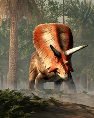 Torosaurus was ceratopsian dinosaur that was a frilled and horned, four legged animal. It lived during the cretaceous period. In a dense forest. 3D Rendering © Daniel Eskridge