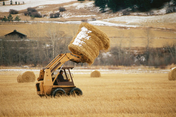 Skip loader moving hay bale © spiritofamerica