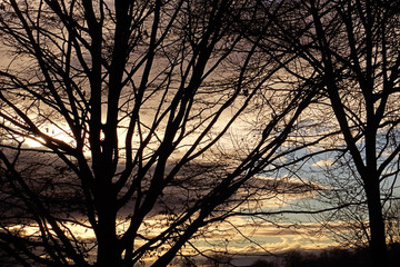 Winter sunset through barren tree branches, nature background
