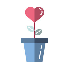 beautiful heart flower garden in ceramic pot