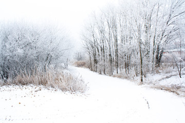Snow covered trail winter wonderland