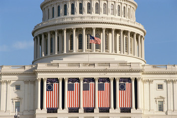 Capital Building draped with US flags, Washington, DC
