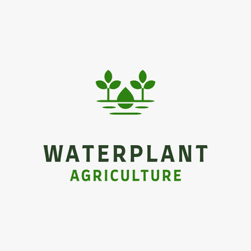 Water Droplet Sprout Plant Leaf Farm Hydroponic logo design inspiration