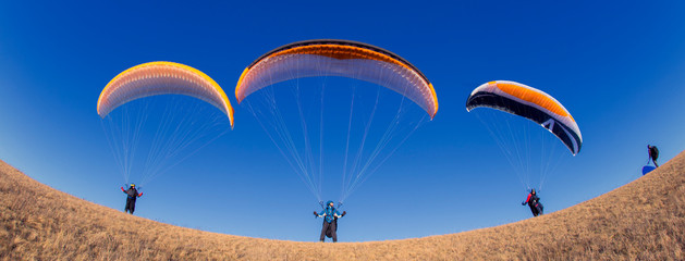 paragliders