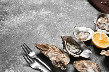 Composition with oysters on grey background