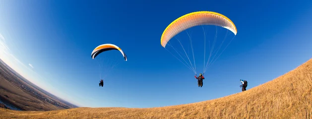 Foto op Plexiglas paragliders © Venera