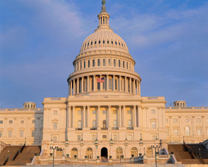 Obraz premium Capitol Building