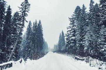 Empty road covered by snow during heavy snowfall.