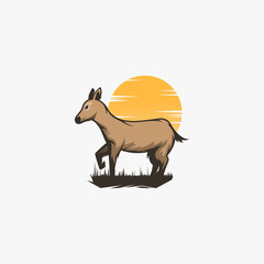 donkey logo and illustration inspiration