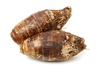 Taro on a white background